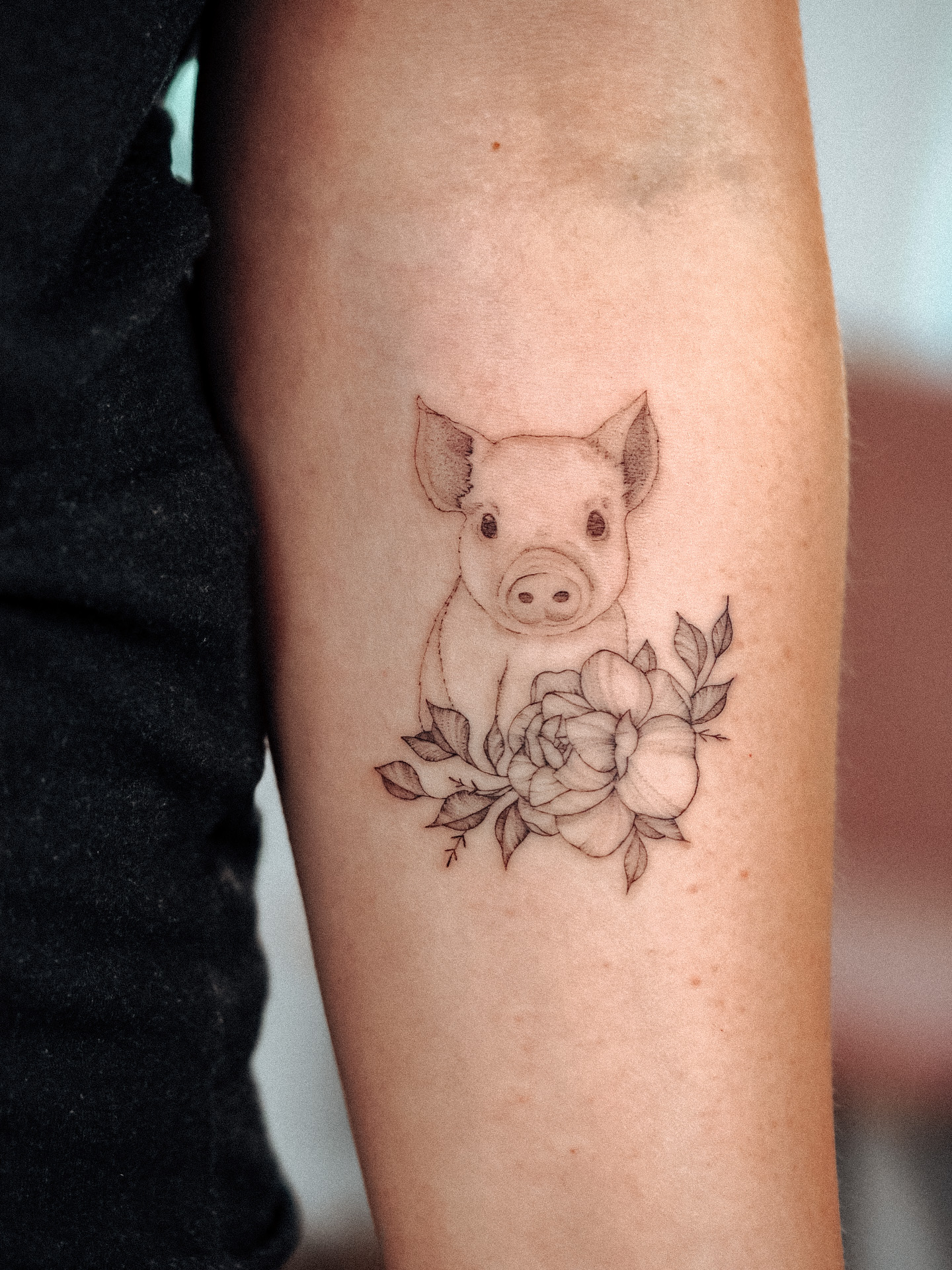 Little Pig