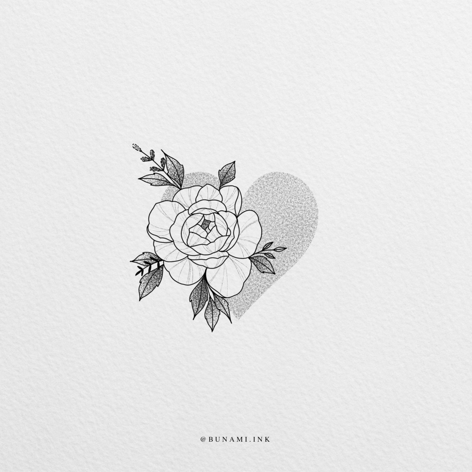 Peony  Love