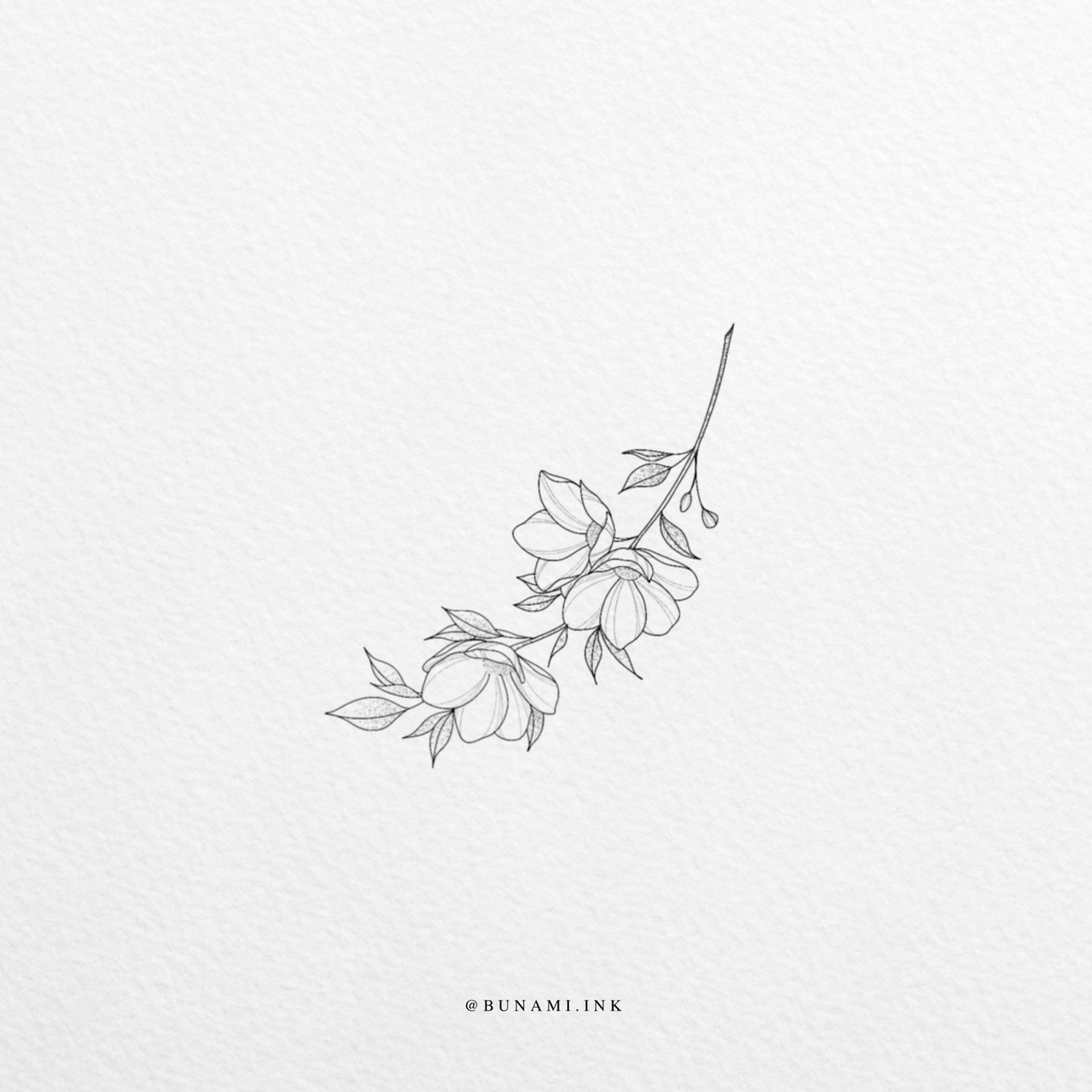 wild-branch-19-11-21