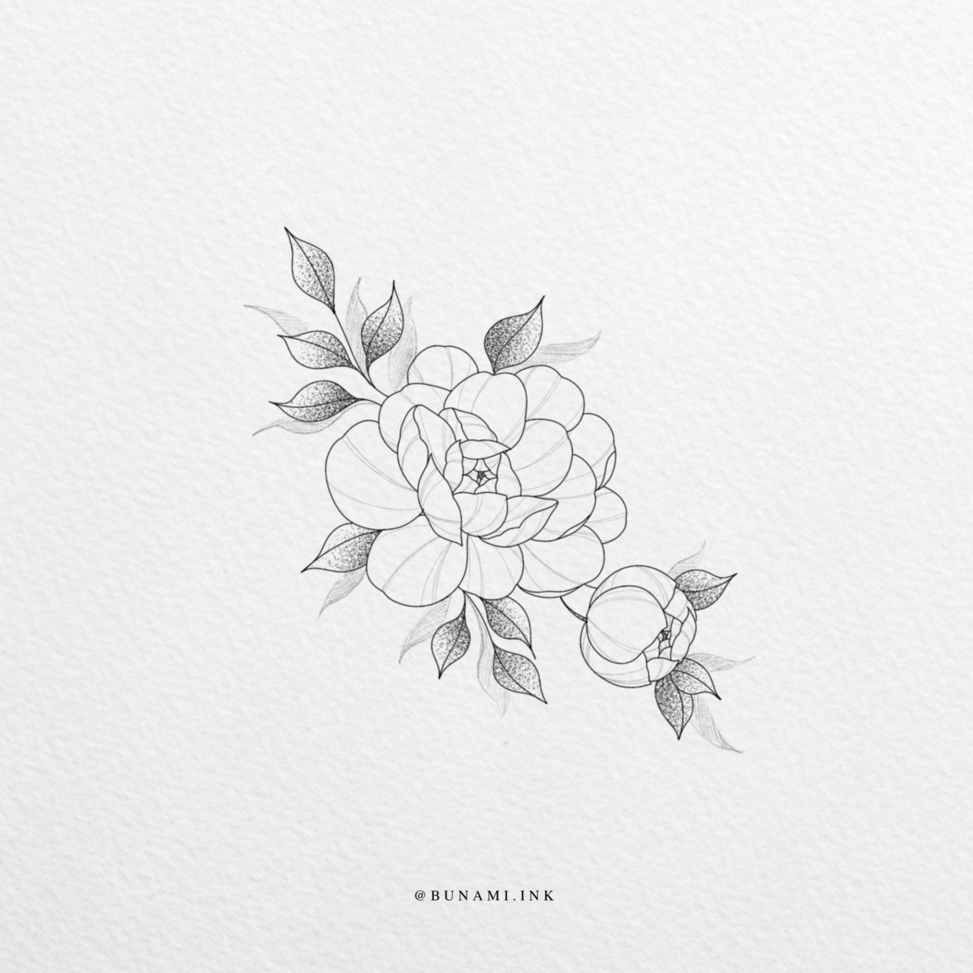 wild-peonies