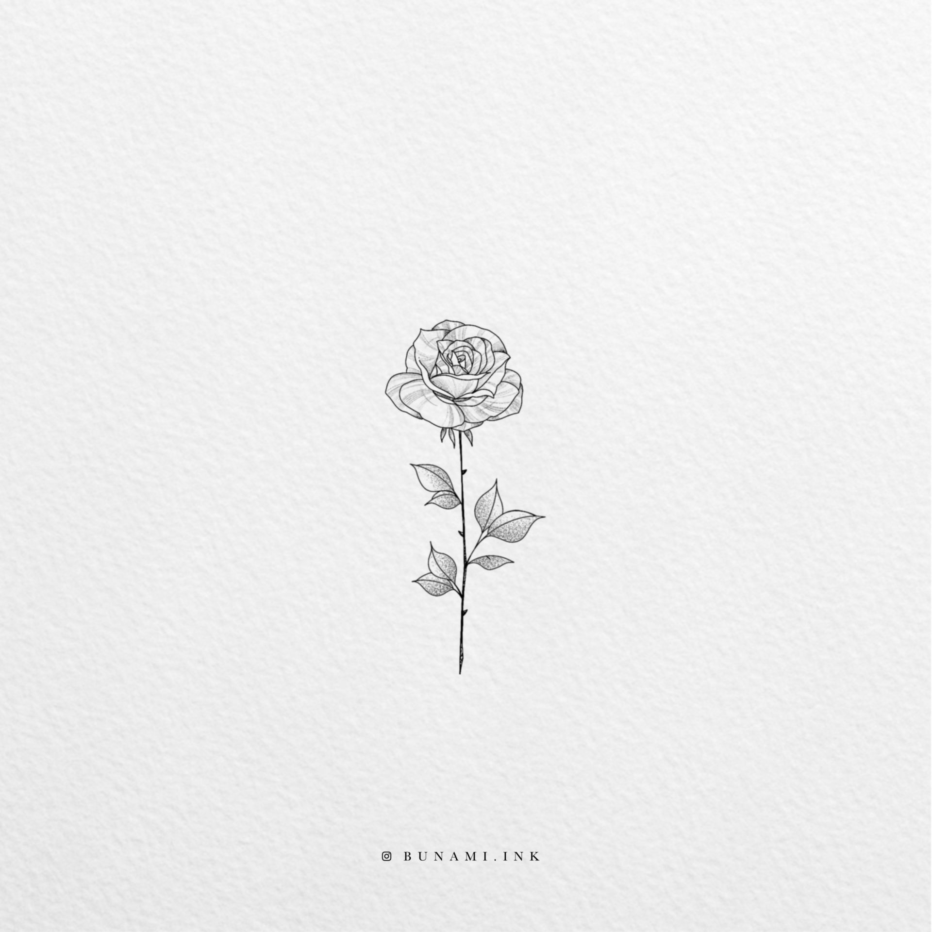 rose_2019-12-11