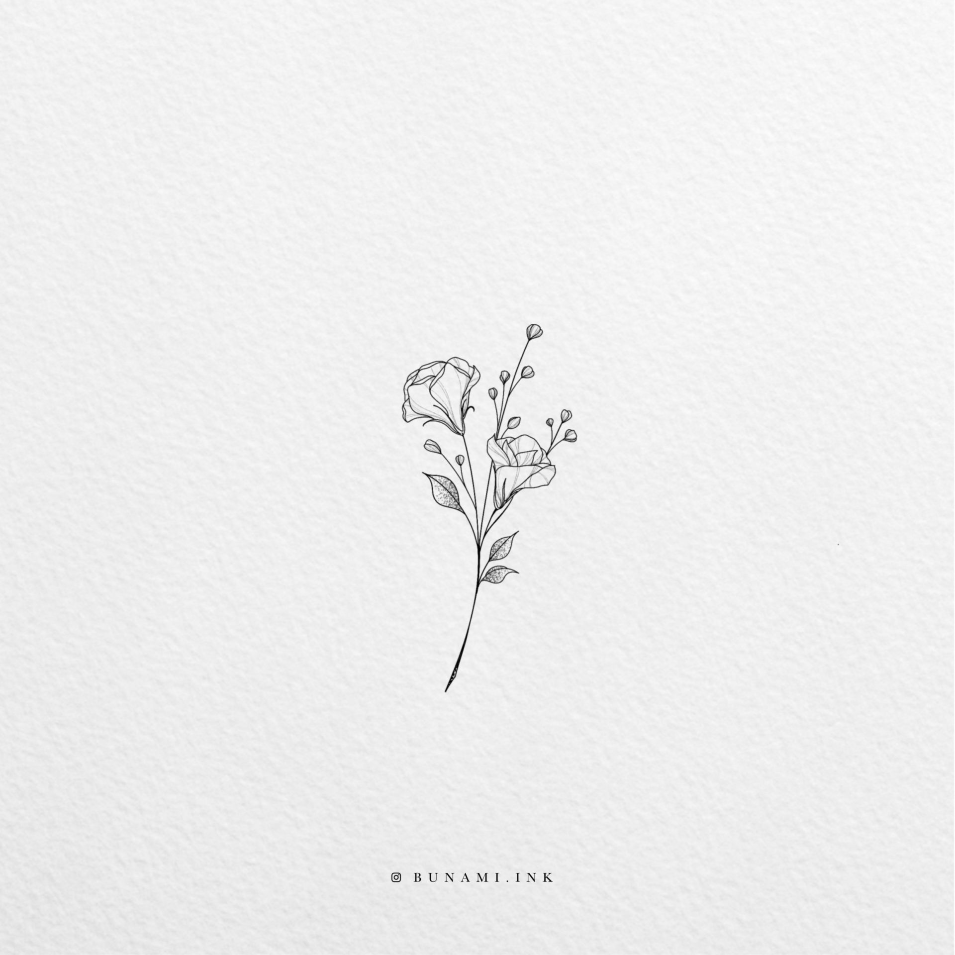 tiny_lysianthus_2019-12-13
