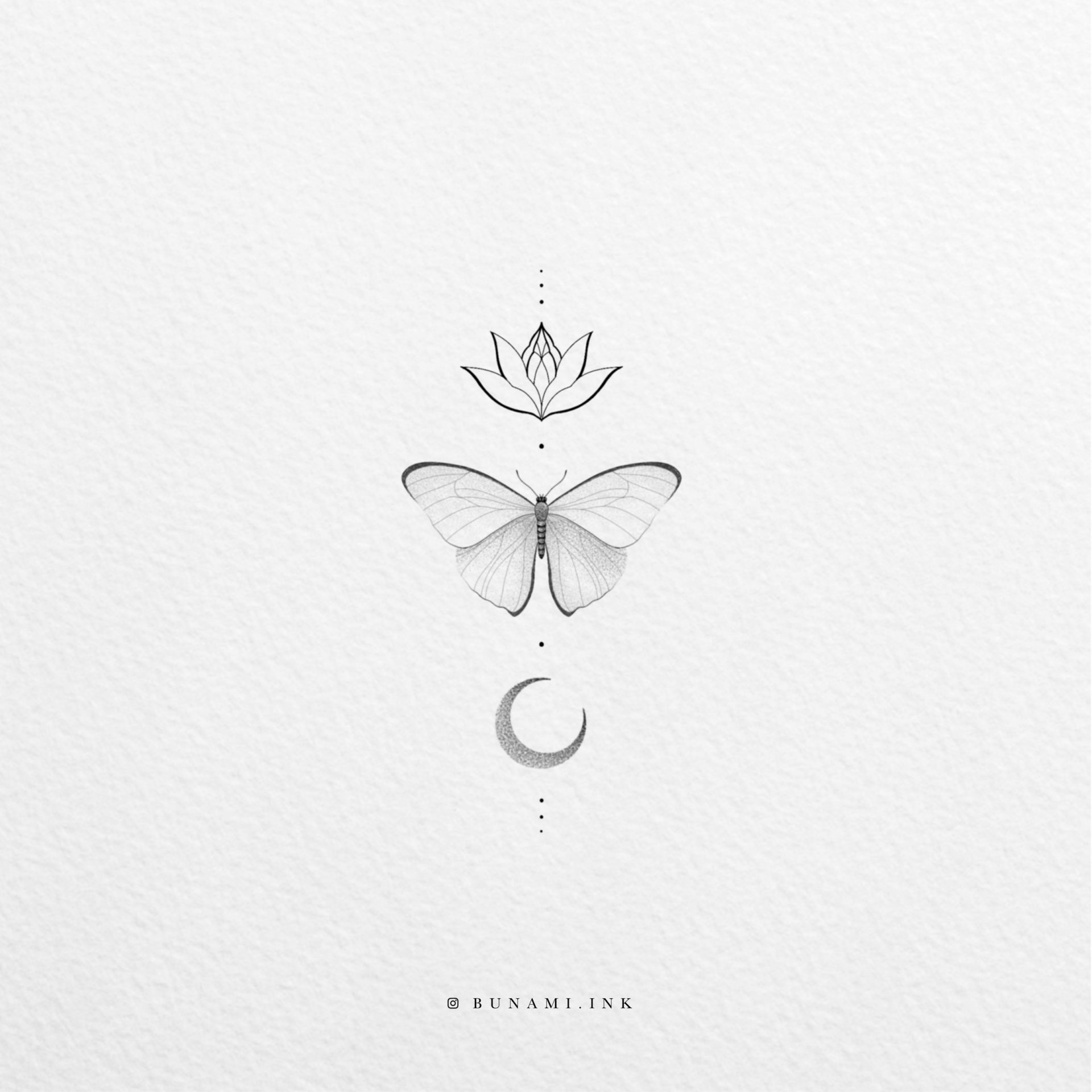 Butterfly magic