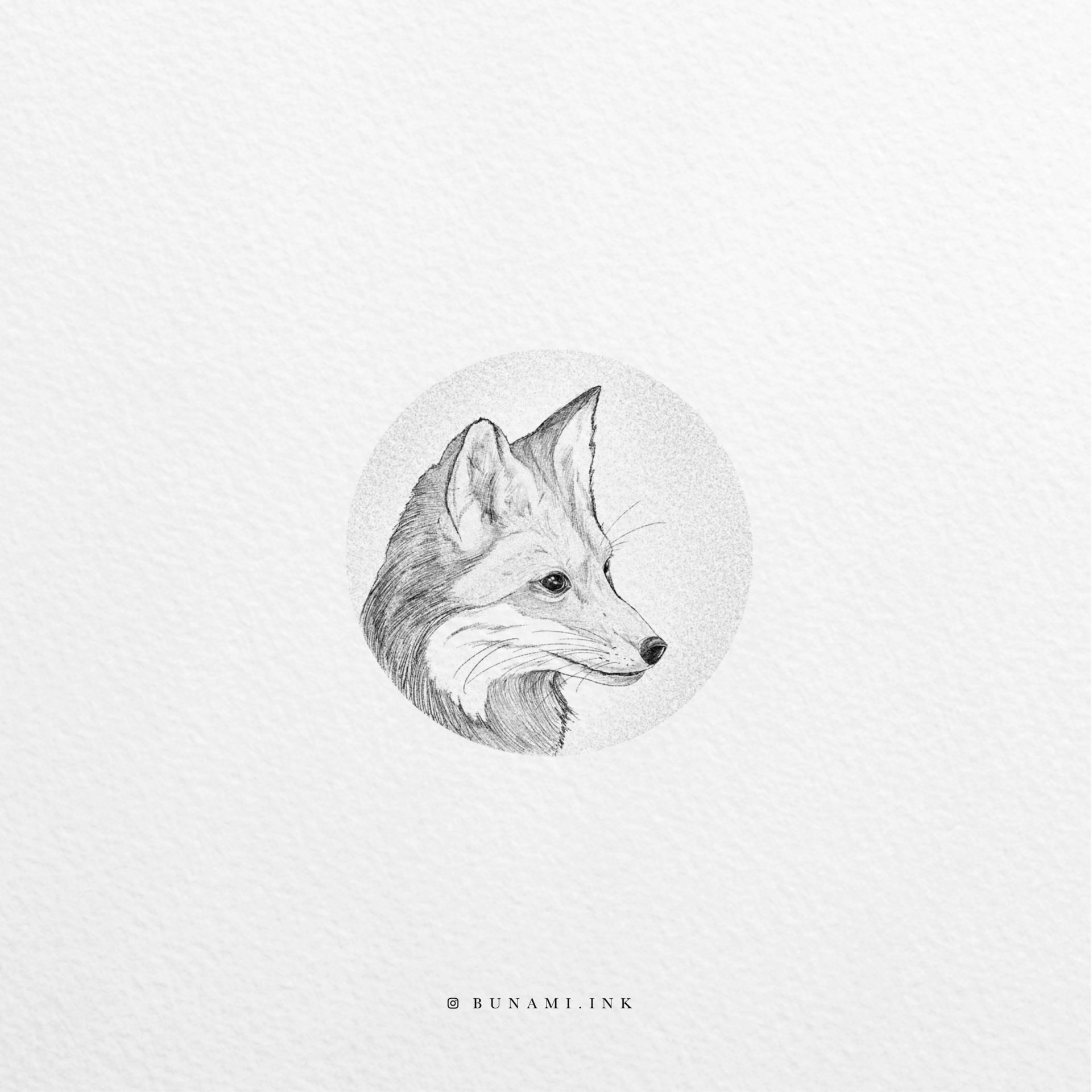 fox-portrait_2020-08-24