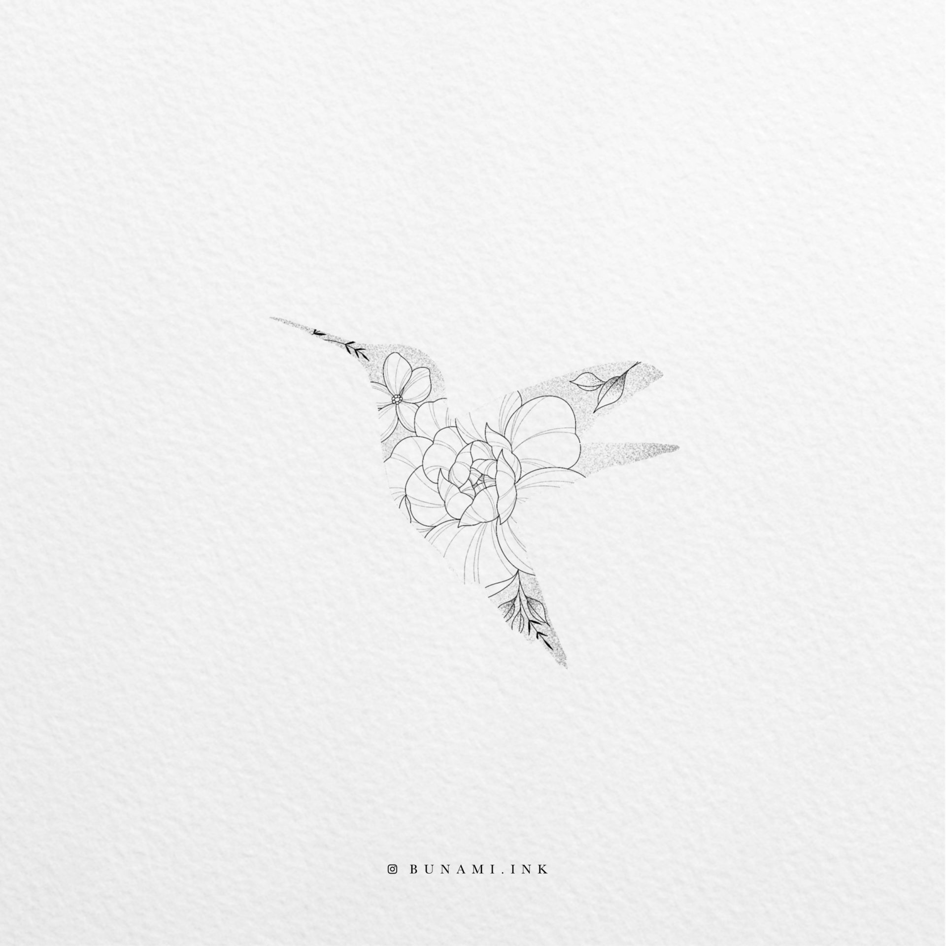 kolibri_2020-09-17