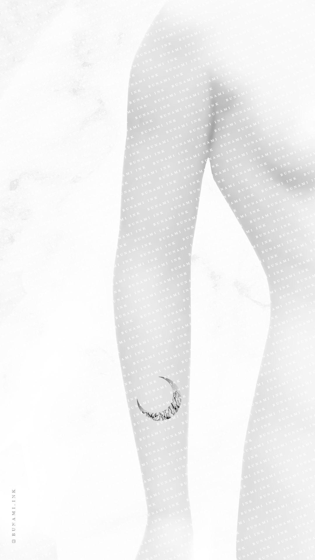 Model2 Crescent & mountains by Alina BUNAMI INK 2022-09-23